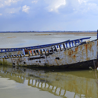 Buy canvas prints of Wreck by Diana Mower