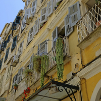 Buy canvas prints of Corfu old Town  by Diana Mower