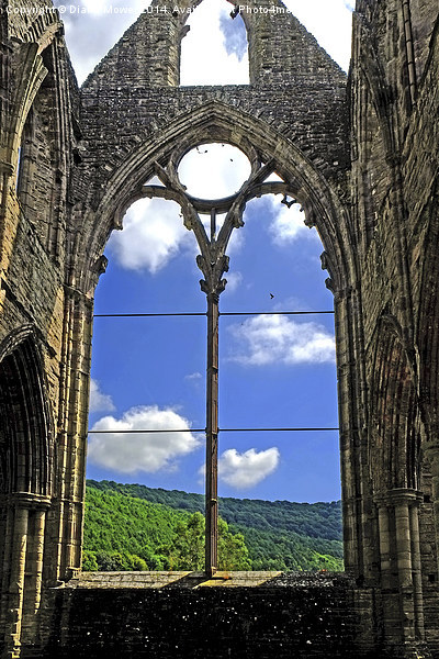  Tintern Abbey Picture Board by Diana Mower