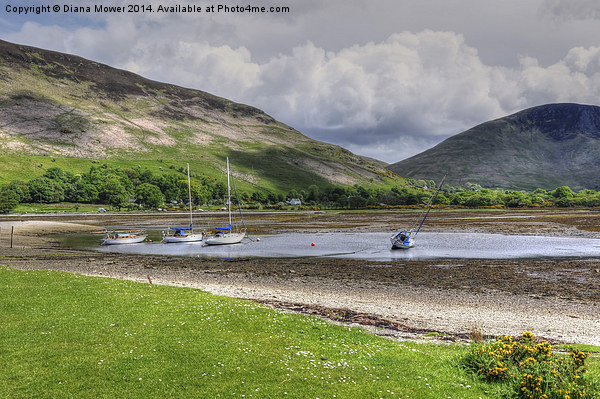  Lochranza Scotland Picture Board by Diana Mower