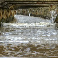 Buy canvas prints of  Under the Pier by Diana Mower