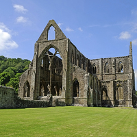 Buy canvas prints of  Tintern Abbey by Diana Mower