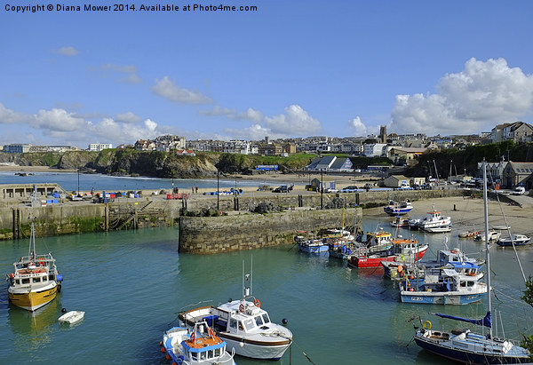 Newquay Harbour   Picture Board by Diana Mower