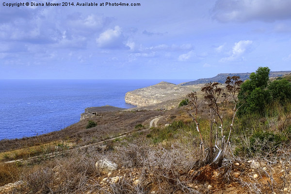  Dingli Cliffs Malta Picture Board by Diana Mower