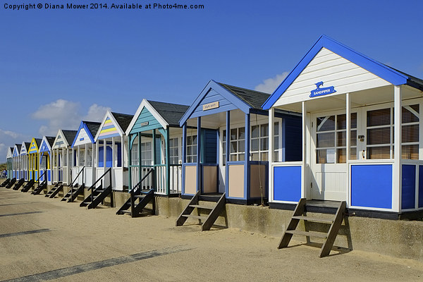  Southwold beach huts  Picture Board by Diana Mower