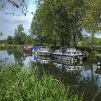Buy canvas prints of Boats on the Chelmer  by Diana Mower