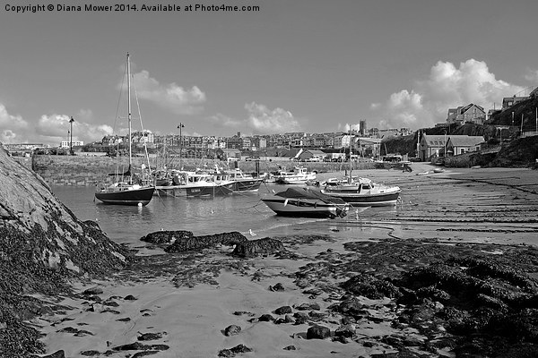Newquay Harbour  Picture Board by Diana Mower