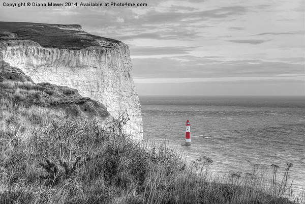  Beachy Head  Picture Board by Diana Mower