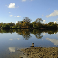 Buy canvas prints of Hatfield Forest Lake  by Diana Mower