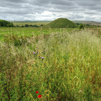 Buy canvas prints of Silbury Hill  by Diana Mower