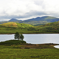 Buy canvas prints of  Loch Arklet Scotland by Diana Mower