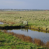 Buy canvas prints of Tollesbury Marshes  by Diana Mower