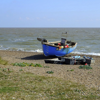 Buy canvas prints of Sizewell beach Suffolk   by Diana Mower