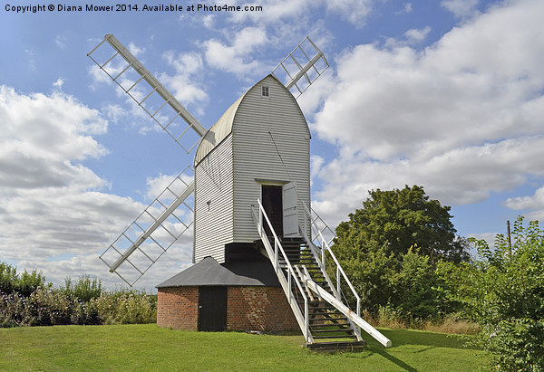  Ashdon Windmill Picture Board by Diana Mower