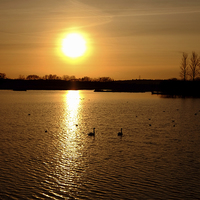 Buy canvas prints of  Abberton Reservoir by Diana Mower