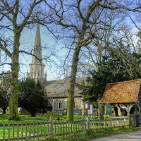 Buy canvas prints of St James Greenstead Green  by Diana Mower