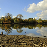 Buy canvas prints of  Hatfield Forest  lake by Diana Mower
