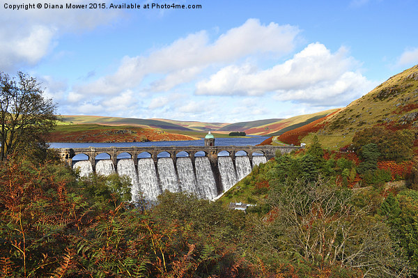  Elan Valley in Autumn Picture Board by Diana Mower