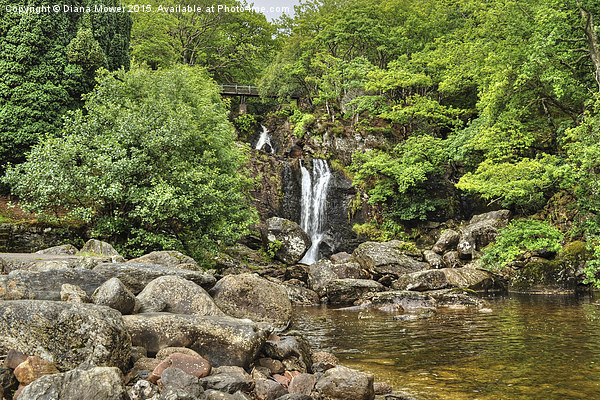  Loch Lomond waterfall Picture Board by Diana Mower