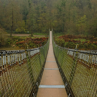 Buy canvas prints of  Biblins Bridge Symonds Yat by Diana Mower