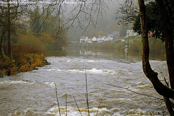  Symonds Yat Weir Picture Board by Diana Mower