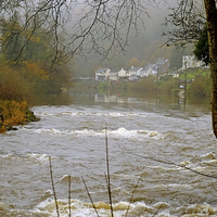 Buy canvas prints of  Symonds Yat Weir by Diana Mower