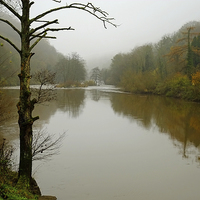 Buy canvas prints of The river Wye Symonds Yat  by Diana Mower