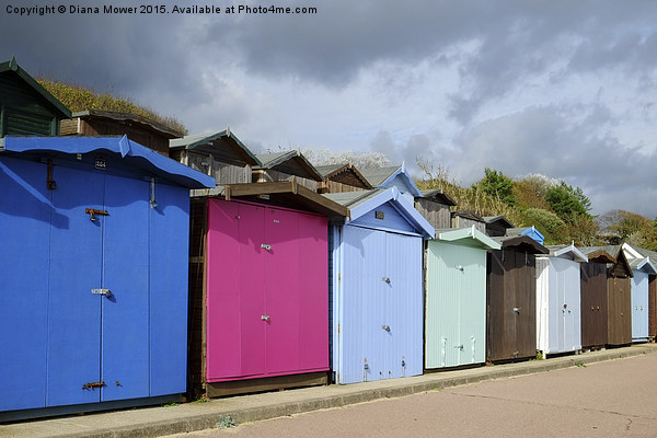  Frinton Beach Huts  Picture Board by Diana Mower