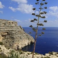 Buy canvas prints of  Blue Grotto Coast Malta  by Diana Mower