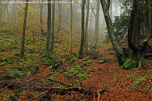  Misty Forest of Dean Picture Board by Diana Mower