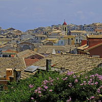 Buy canvas prints of  Corfu Old Town by Diana Mower