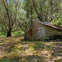 Buy canvas prints of  Olive Grove Cabin by Diana Mower