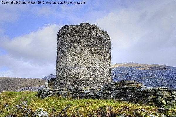  Dolbadarn Castle Picture Board by Diana Mower