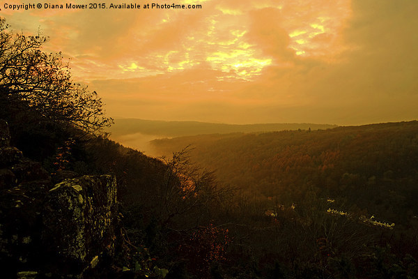  Symonds Yat Sunset Picture Board by Diana Mower