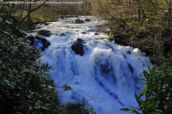  Swallow Falls Betws-y-Coed  Picture Board by Diana Mower