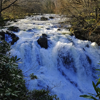 Buy canvas prints of  Swallow Falls Betws-y-Coed  by Diana Mower