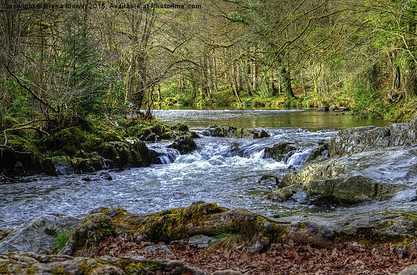  River Llugwy Betws-y-Coed  Picture Board by Diana Mower