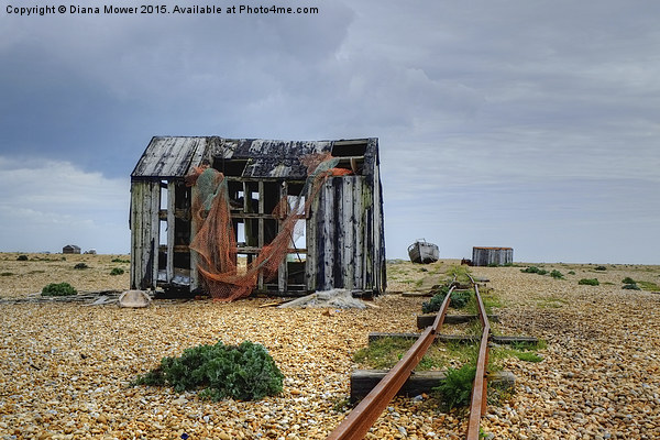 Dungeness  Picture Board by Diana Mower
