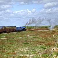Buy canvas prints of  Dungeness Train by Diana Mower