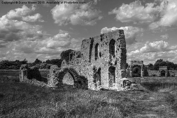  Greyfriars Priory, black and white Picture Board by Diana Mower