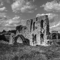Buy canvas prints of  Greyfriars Priory, black and white by Diana Mower