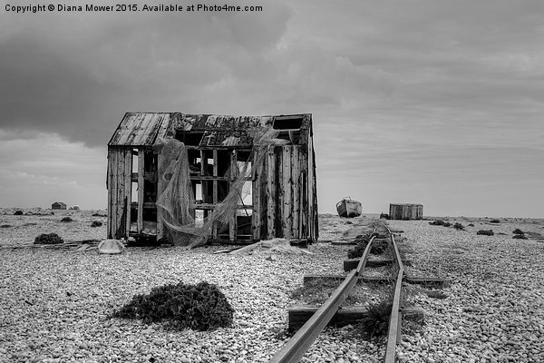  Dungeness  Picture Board by Diana Mower