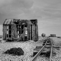 Buy canvas prints of  Dungeness  by Diana Mower