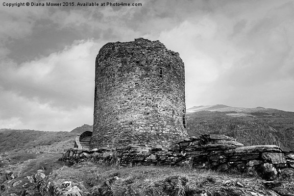  Dolbadarn Castle Picture Board by Diana Mower