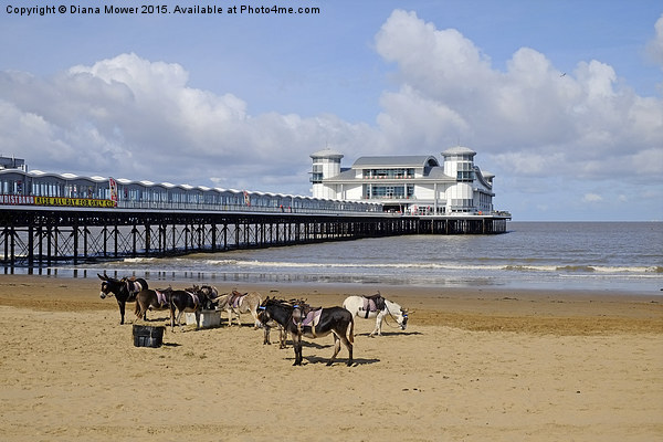  Weston Super Mare Donkeys on the Beach Picture Board by Diana Mower