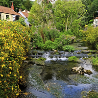 Buy canvas prints of  Cheddar Gorge Village by Diana Mower