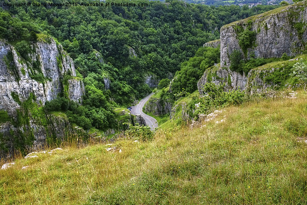  Cheddar Gorge  Picture Board by Diana Mower