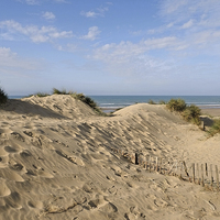 Buy canvas prints of  Camber Sands by Diana Mower