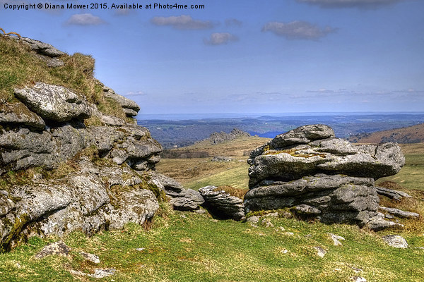  Hound Tor From Chinkwell Tor Picture Board by Diana Mower