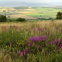 Buy canvas prints of Quantock Hills Somerset  by Diana Mower